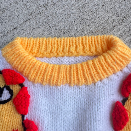 Kids Toddler Hand Knit Dinosaur Animal Hand Knit Pullover Sweater 3Y 4Y 5Y