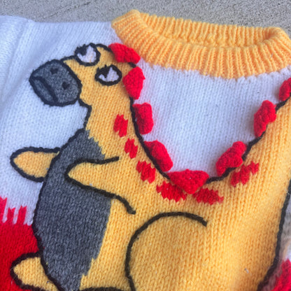 Kids Toddler Hand Knit Dinosaur Animal Hand Knit Pullover Sweater 3Y 4Y 5Y