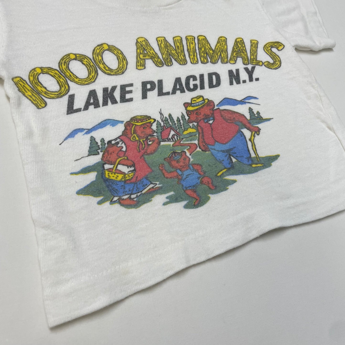 60s Kids Baby Toddler Vintage 1000 Animals Lake Placid New York Bear Family Souvenir Tshirt / 12m 18m 24m 1y 2T