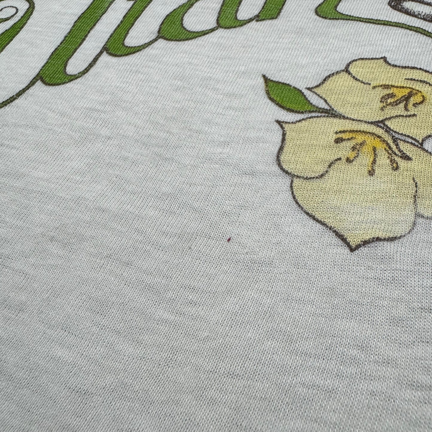 70s Kids Vintage Hanes Utah Honey Bee Souvenir Print White Short Sleeve T-Shirt M 10Y 11Y 12Y Made in USA