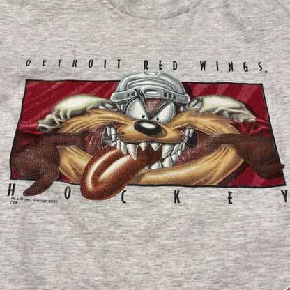 90s Kids Detroit Red Wings Hockey Taz Gray L/S 10-12